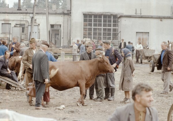 1978 Polen