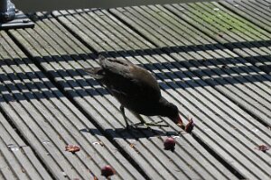 IMG_3496
